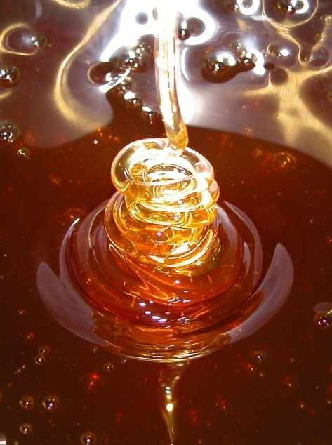 Milkweed honey